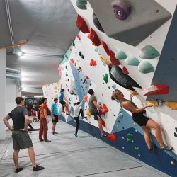 1ºA.ESO. SALIDA CAMALEÓN...