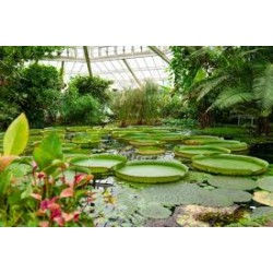 4º CIENCIAS Y PDC. VISITA...