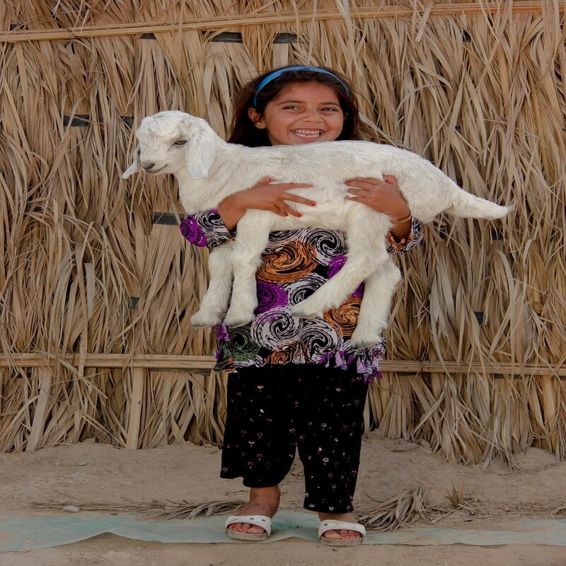 3 AÑOS. EDUCACIÓN INFANTIL. ACTIVIDAD COMPLEMENTARIA: "EL CUERPO HUMANO"