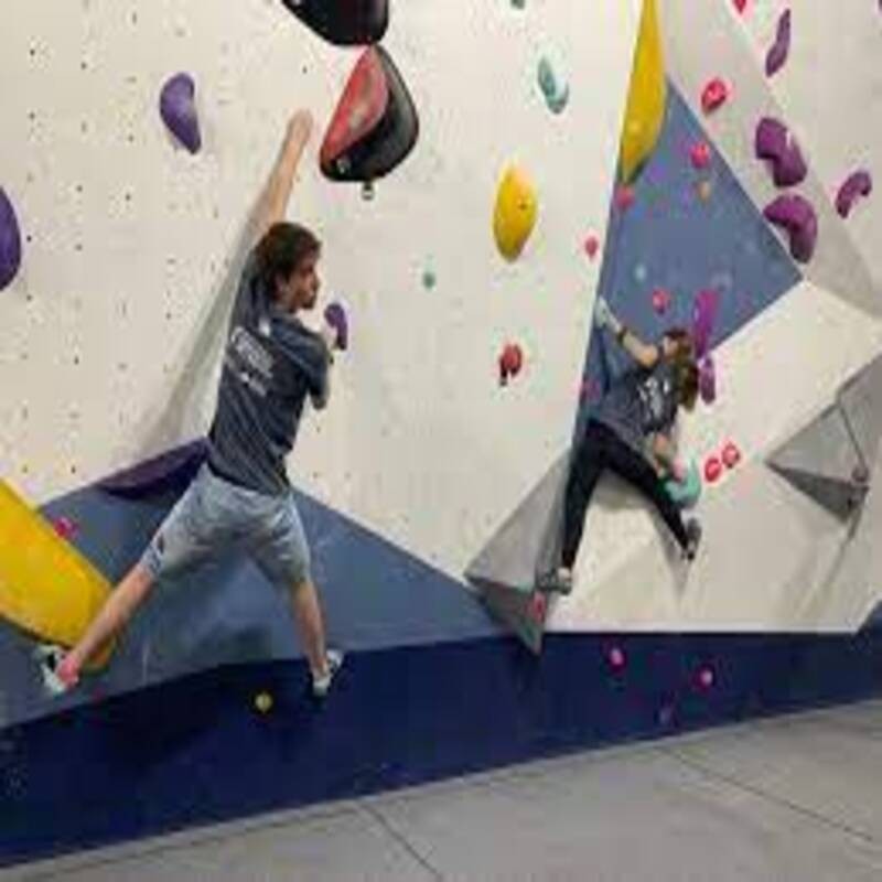 1º A ESO . ACTIVIDAD. BOULDER CAMALEÓN